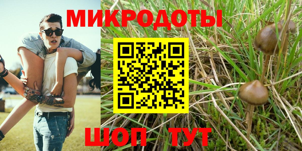 что такое наркотик  Вход с VPN  Бор  Галлюциногенные грибы мухоморы  Псилоцибиновые грибы MAGIC MUSHROOMS 