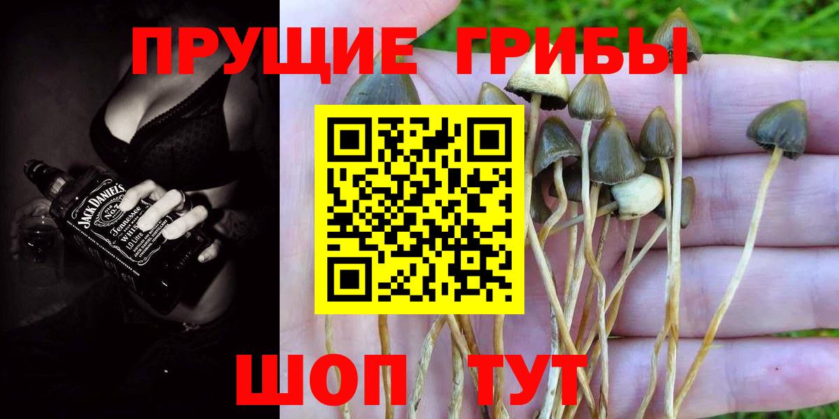 Галлюциногенные грибы Magic Shrooms Бор